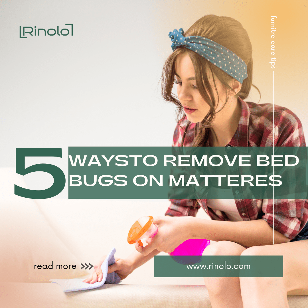 5 ways to remove bedbugs on matteres